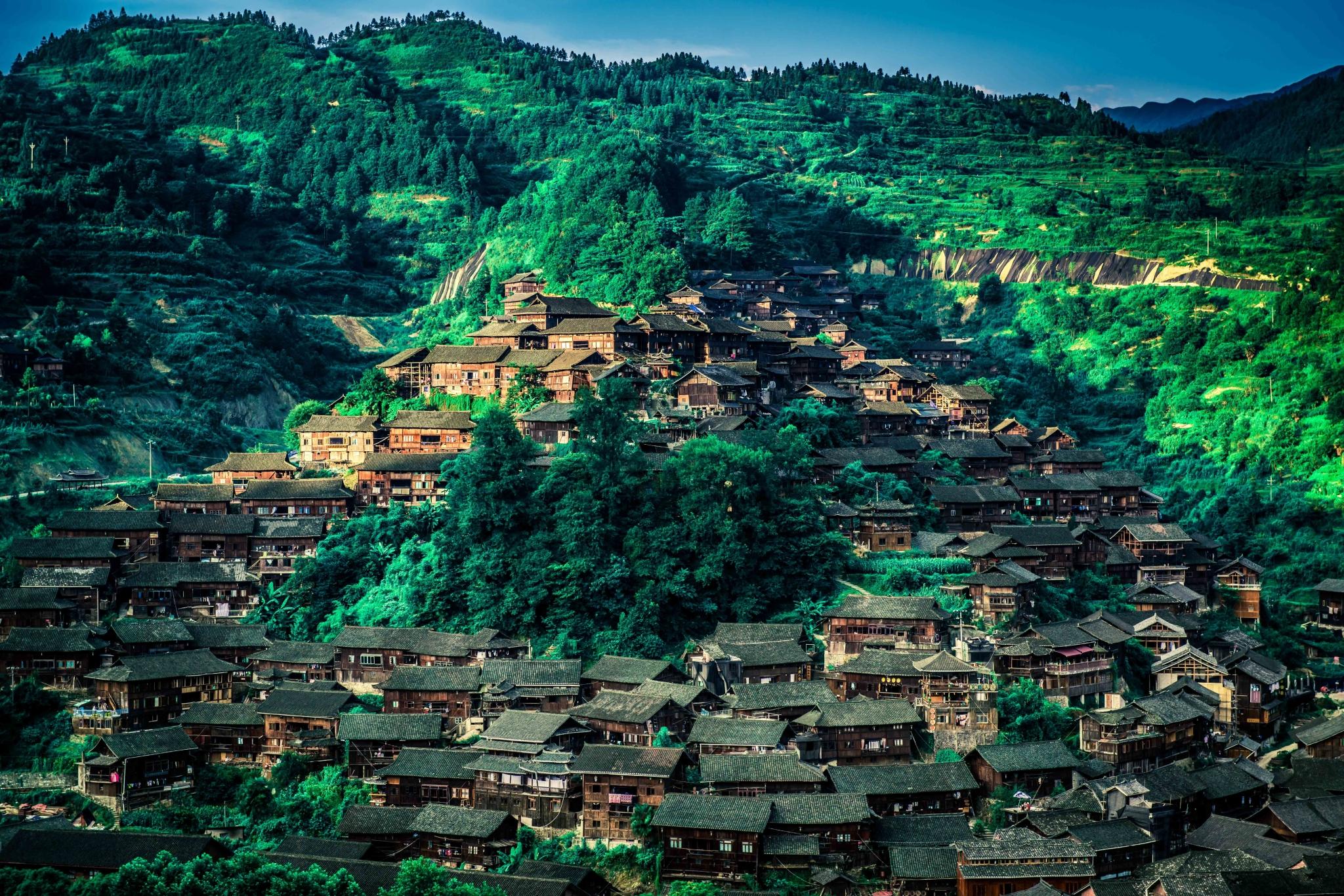 踏足贵州，一位作家对千年智者的深情描绘