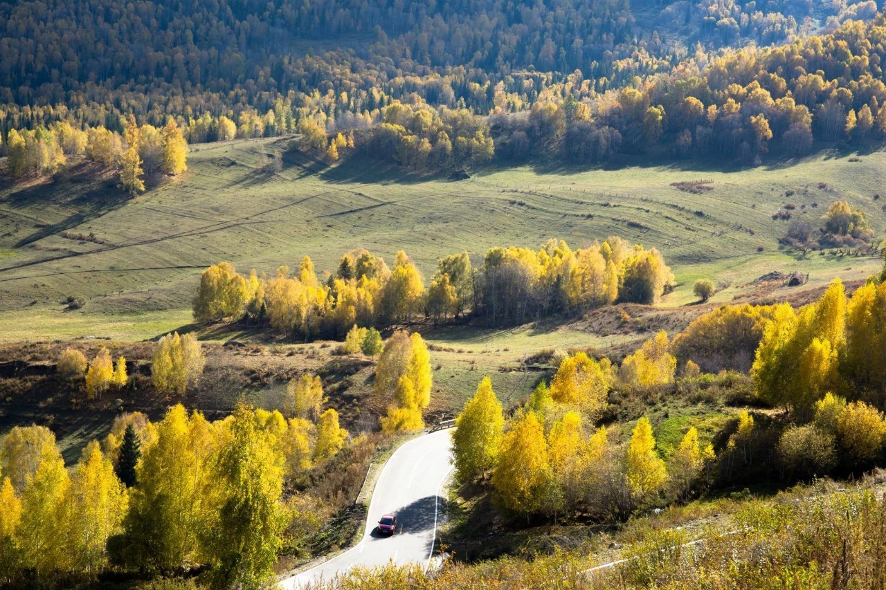 新疆，多元文化交融与民族和谐共生的和谐典范之地