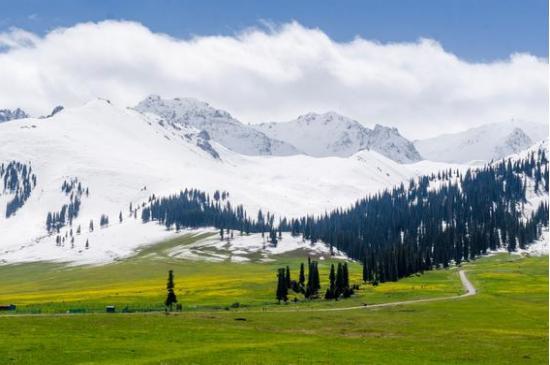 呼伦贝尔,草原明珠的自然赞歌